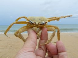 283199_10150262255239901_2018784_n